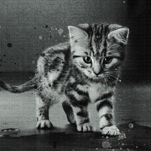 Carica l'immagine nel visualizzatore di Gallery, Tela in canvas Mindset